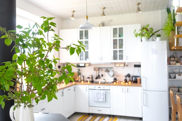 bucătărie luminată